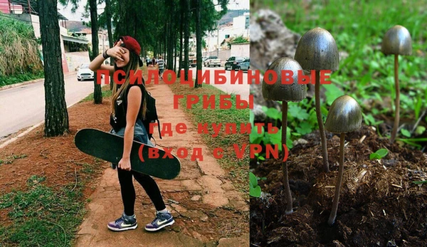 spice Алексин