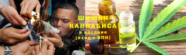 spice Алексин