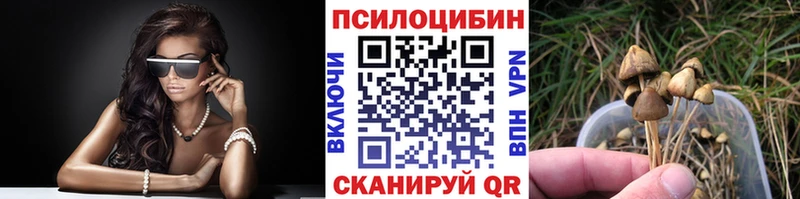 Галлюциногенные грибы MAGIC MUSHROOMS  omg tor  Раменское 